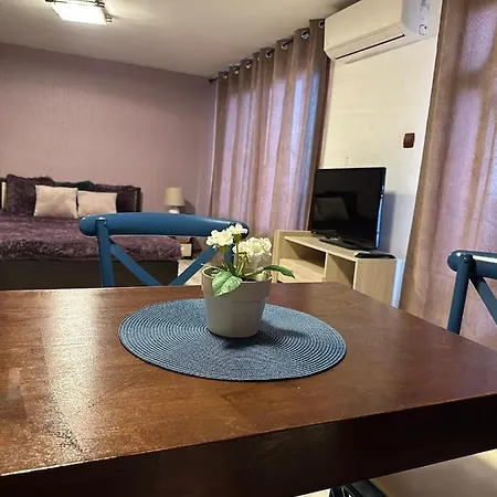 Apartment Вила Николета Sveti Vlas